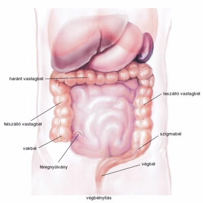 Crohn betegség, Colitis, Irritábilis bél szindróma (IBS)