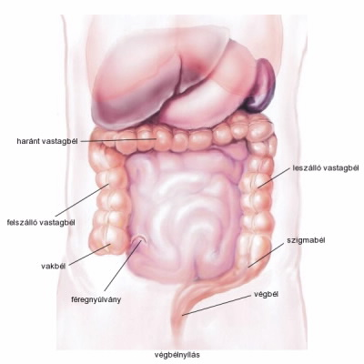 crohn betegség mindig súlycsökkenést okoz e